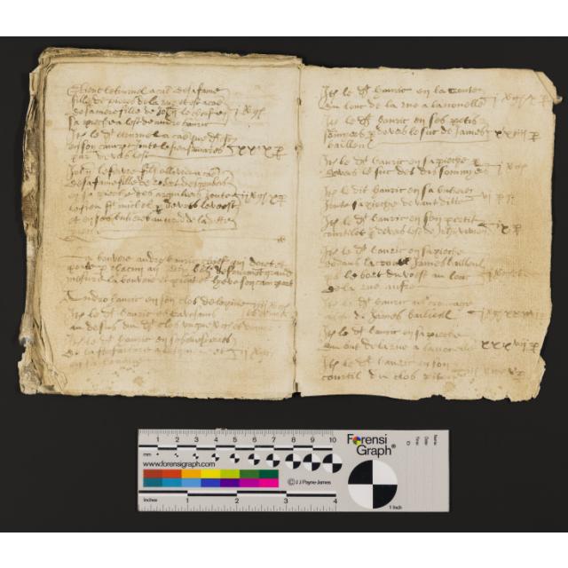 St Peter Port: Greffe, Langlois A.2 Livre de Perchage (1595) for Fief de Sotuas