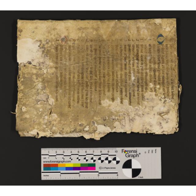 St Peter Port: Greffe, Langlois C.2 Notebook containing list of properties on Fief Le Comte that pay Champart (pre-1592) front outside