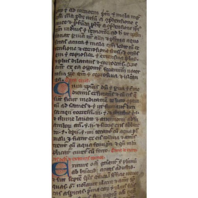 Colchester Harsnett H.a.54 ii rectoColchester Harsnett H.a.54 ii recto