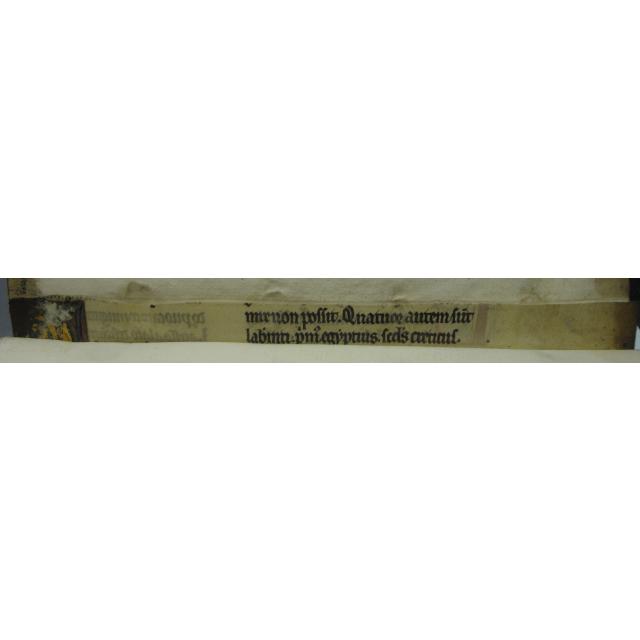 Colchester Harsnett H.d.11 back strip verso