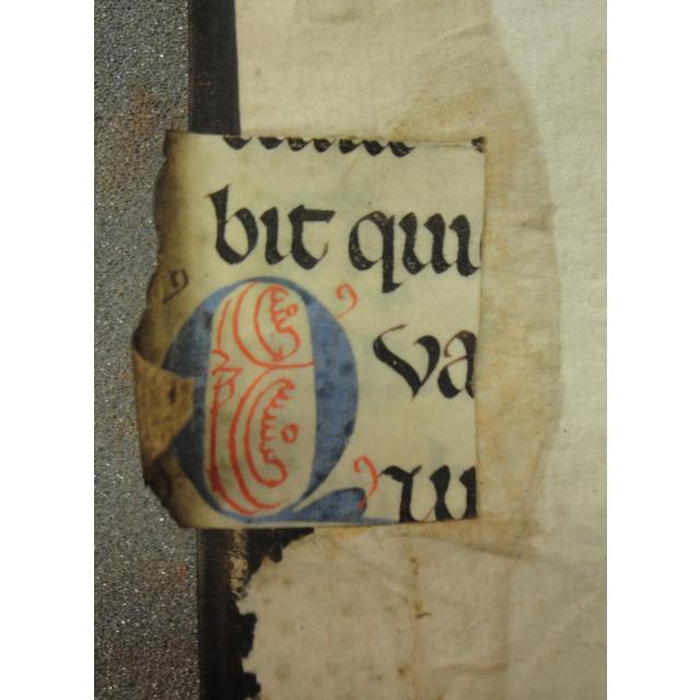 Colchester Harsnett H.d.44 i