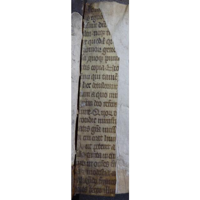Colchester Harsnett H.d.45 i recto