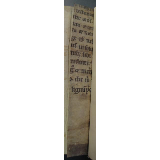 Colchester Harsnett H.d.4 back strip