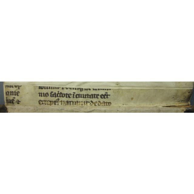 Colchester Harsnett H.d.52 back strip verso