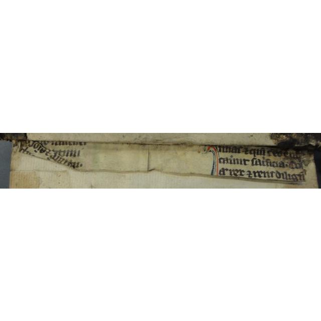Colchester Harsnett H.d.53 back strip