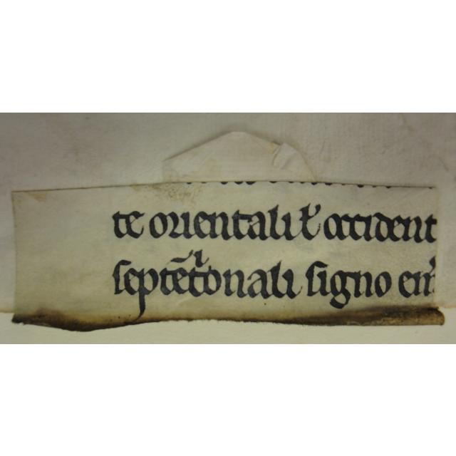 Colchester Harsnett H.e.22 tab