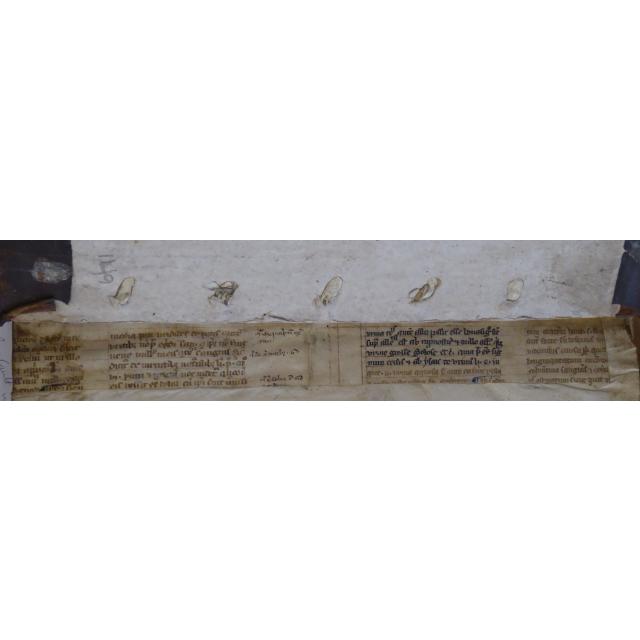 Colchester Harsnett H.f.24 ii