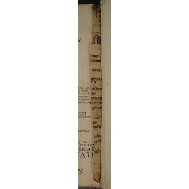 Colchester Harsnett H.f.29 strips