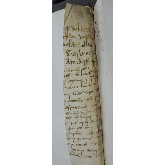 Colchester Harsnett H.f.4 i detail