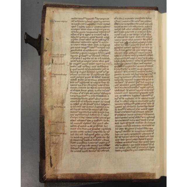 Colchester Harsnett H.g.17 i