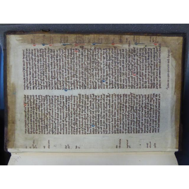 Colchester Harsnett H.g.17 ii