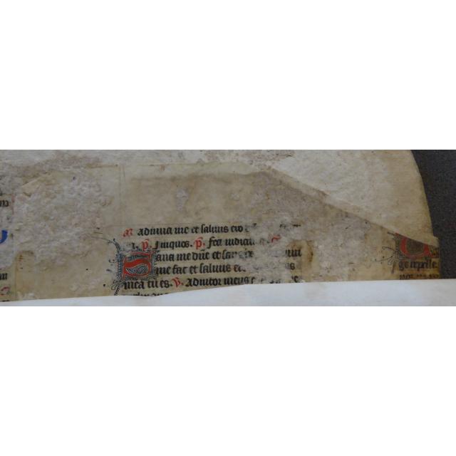 Colchester Harsnett H.g.2 i