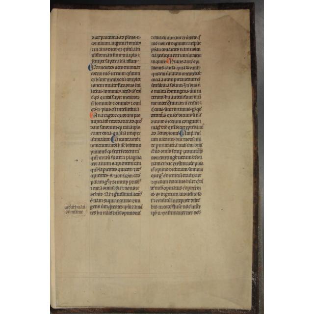 Colchester Harsnett H.g.32 i