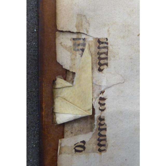 Colchester Harsnett I.f.25 i