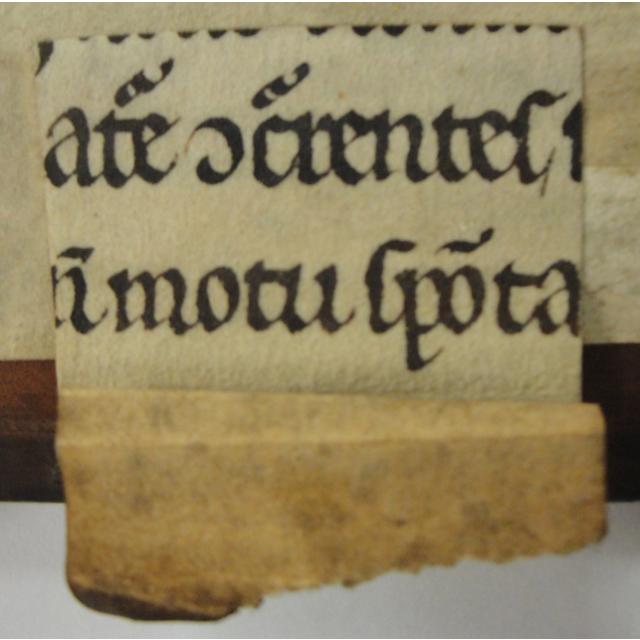 Colchester Harsnett K.f.11 tab
