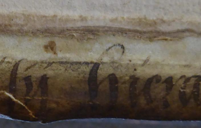 Colchester Harsnett H.c.21 ii