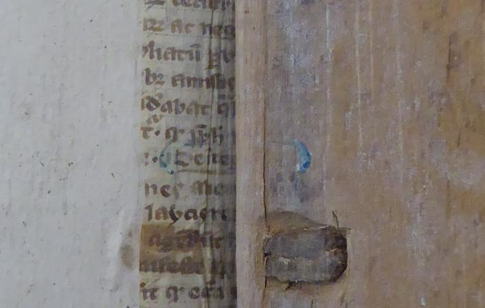 Colchester Harsnett H.c.21 i