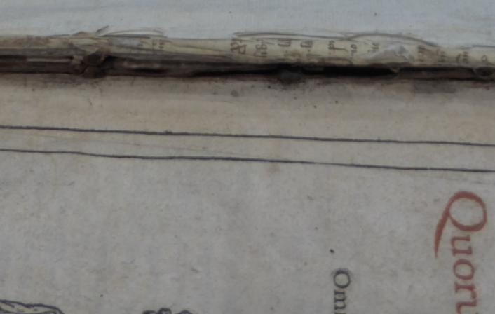 Harsnett H.c.8 i