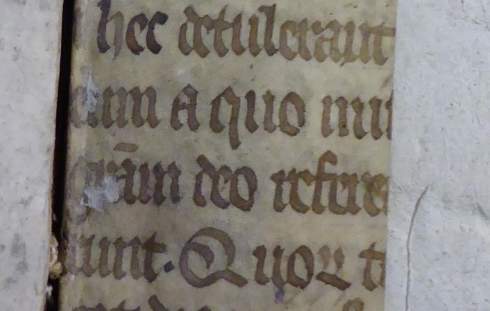 Colchester Harsnett H.d.45 i recto