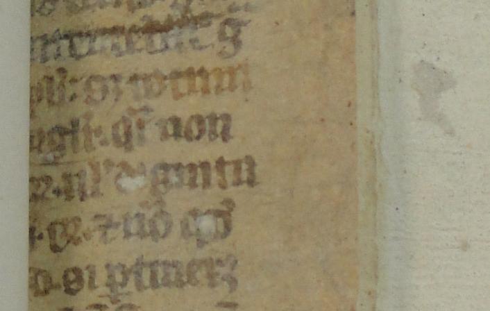 Colchester Harsnett H.e.22 back strip