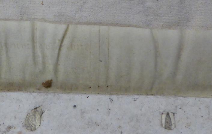 Colchester Harsnett H.e.45 i