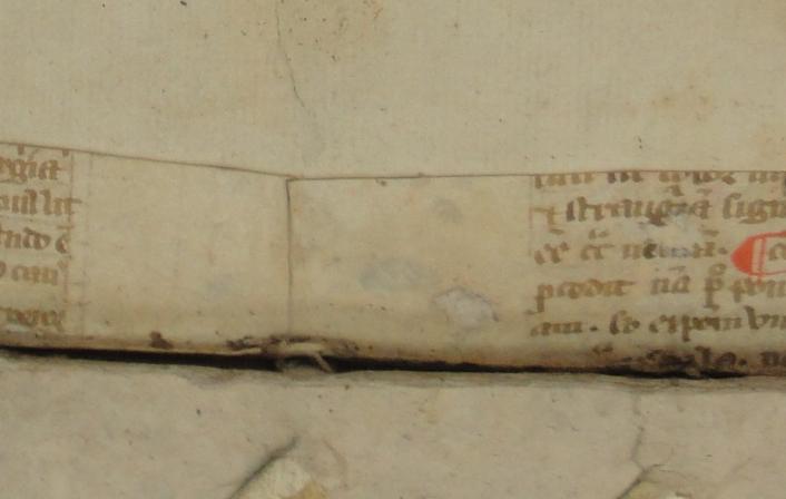 Colchester Harsnett H.f.24 i