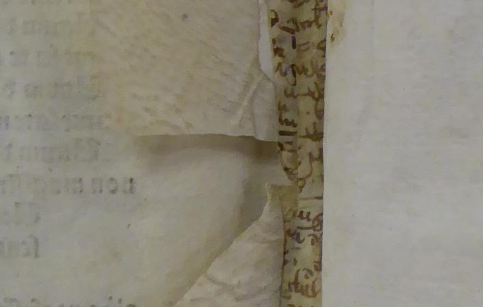 Colchester Harsnett H.f.28 ii