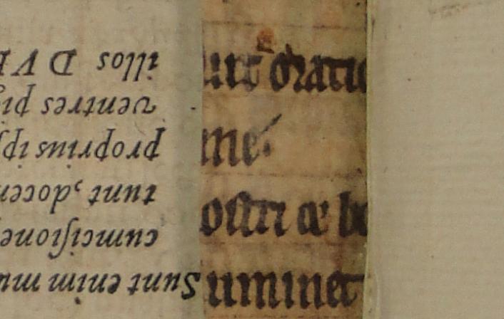 Colchester Harsnett H.f.29 strips