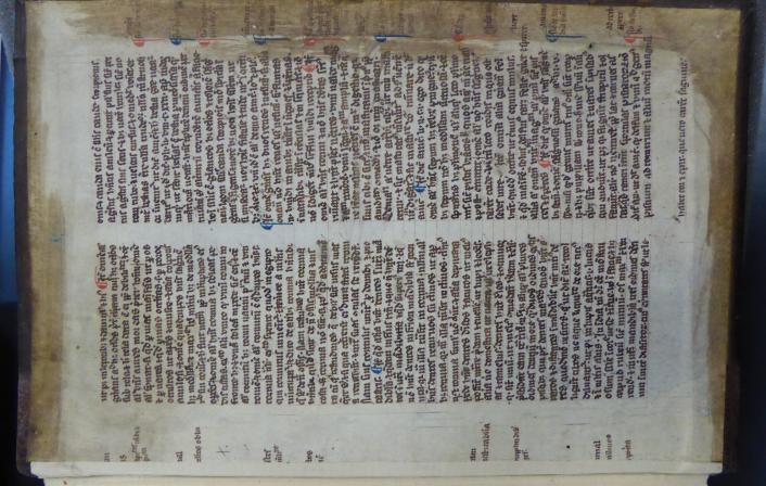Colchester Harsnett H.g.17 ii