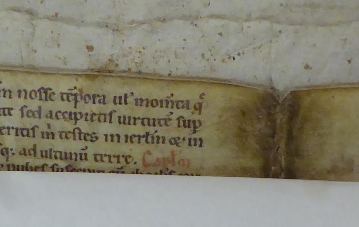 Colchester Harsnett H.g.25 i & ii