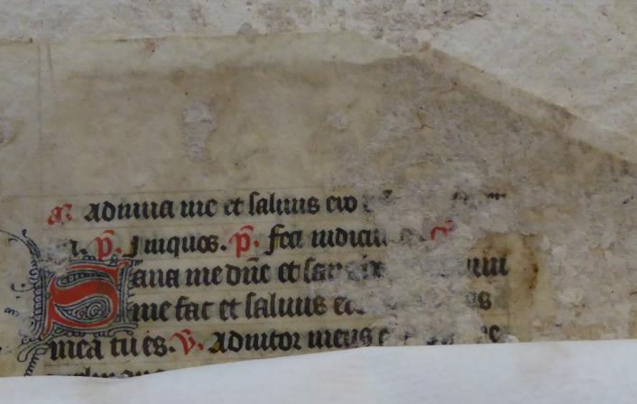 Colchester Harsnett H.g.2 i
