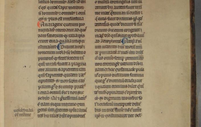Colchester Harsnett H.g.32 i