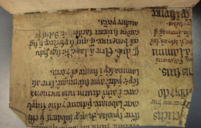 Colchester Harsnett K.a.1 front recto