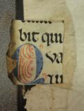 Colchester Harsnett H.d.44 i