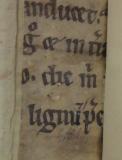 Colchester Harsnett H.d.4 back strip