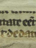 Colchester Harsnett H.d.52 back strip verso