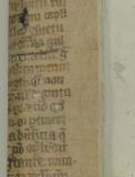 Colchester Harsnett H.e.22 back strip