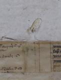 Colchester Harsnett H.f.24 ii