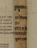 Colchester Harsnett H.f.29 strips