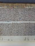 Colchester Harsnett H.g.17 ii