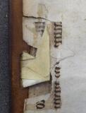 Colchester Harsnett I.f.25 i